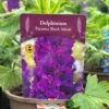 Delphinium Paramo 'Black Velvet' 2Ltr Pot 1 Delphinium Paramo 'Black Velvet' 2Ltr Pot -Wolf-Garten Store 5019801015453 08bfe61a 57d2 4899 b7f2 e12234142355