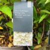 Hydrangea Paniculata 'Little Blossom' 5Ltr Pot