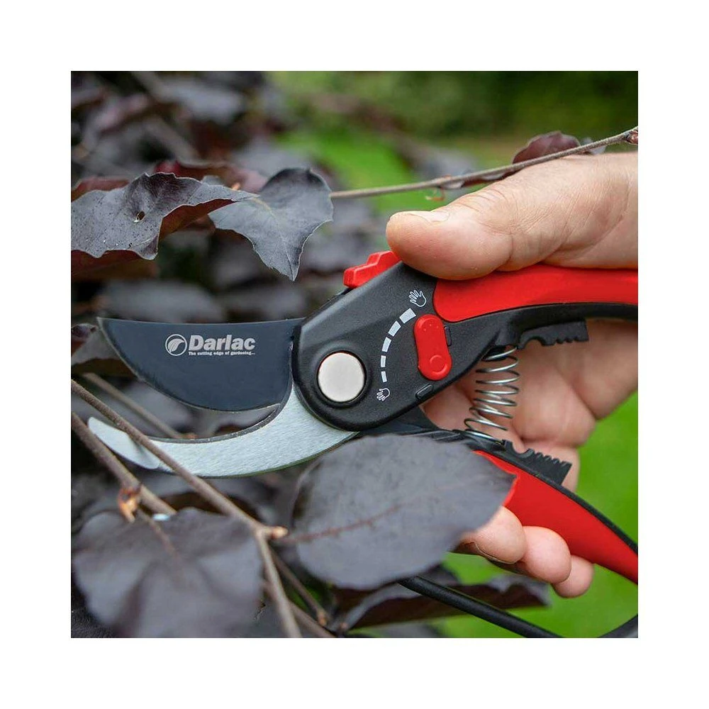 Darlac Adjustable Bypass Pruner 3 Darlac Adjustable Bypass Pruner - Image 2