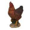 Vivid Arts 28cm Summer Hen - XRL-CHKN-D 2 Vivid Arts 28cm Summer Hen - XRL-CHKN-D -Wolf-Garten Store 5055195014733