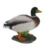 Vivid Arts 32cm Mallard Duck - XRL-MLLD-A 2 Vivid Arts 32cm Mallard Duck - XRL-MLLD-A -Wolf-Garten Store 5055195016713