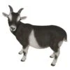 Vivid Arts 29cm Standing Goat- XRL-GOAT-D -Wolf-Garten Store 5055195017475