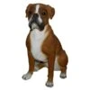 Vivid Arts 47cm Boxer Dog - XRL-BOXR-A 2 Vivid Arts 47cm Boxer Dog - XRL-BOXR-A -Wolf-Garten Store 5055195017628