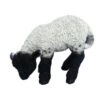 Vivid Arts 31cm Black / White Standing Lamb - XRL-BLLB-D -Wolf-Garten Store 5055195017697