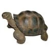 Vivid Arts 27cm Giant Tortoise -XRL-GTRT-D -Wolf-Garten Store 5055195018816