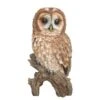 Vivid Arts 31.5cm Tawny Owl - XRL-TWNY-B 1 Vivid Arts 31.5cm Tawny Owl - XRL-TWNY-B -Wolf-Garten Store 5055195019448 c1876a6d fd06 4298 b9e0 29c74b19bfd2