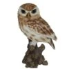 Vivid Arts 22cm Little Owl - XRL-LTWL-D -Wolf-Garten Store 5055195019981 6c6be2ff 1f1b 44e8 9a32 cdc02d0af566