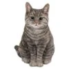 Vivid Arts 30cm Tabby Sitting Cat - XRL-SC33-B 1 Vivid Arts 30cm Tabby Sitting Cat - XRL-SC33-B -Wolf-Garten Store 5055195020222