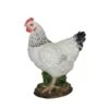 Vivid Arts 27cm Black & White Summer Hen - XRL-CH47-D -Wolf-Garten Store 5055195020482
