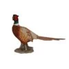 Vivid Arts 52cm Pheasant - XRL-NT04 -Wolf-Garten Store 5055195020789 7ad3e4d2 7c33 4dad b878 58606602649f
