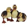 Vivid Arts 23cm Standing Duckling Group - NF-DK26-D -Wolf-Garten Store 5055195023674
