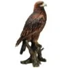 Vivid Arts 40cm Golden Eagle - XRL-GDEG-B -Wolf-Garten Store 5055195024879