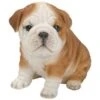 Vivid Arts 19cm Bulldog Puppy Pet Pals - PP-BDOG-F 2 Vivid Arts 19cm Bulldog Puppy Pet Pals - PP-BDOG-F -Wolf-Garten Store 5055195025319