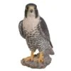 Vivid Arts 25cm Peregrine Falcon - XRL-PFAL-B 2 Vivid Arts 25cm Peregrine Falcon - XRL-PFAL-B -Wolf-Garten Store 5055195025807