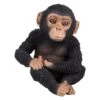 Vivid Arts 14cm Pet Pals Sitting Baby Chimp - PZ-CHM3-F 2 Vivid Arts 14cm Pet Pals Sitting Baby Chimp - PZ-CHM3-F -Wolf-Garten Store 5055195030498