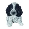 Vivid Arts Black & White Cocker Spaniel Puppy - PP-CKB