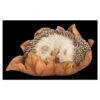Vivid Arts Baby Hedgehog Sleeping On Leaf XRL-HH09-F -Wolf-Garten Store 5055195037596